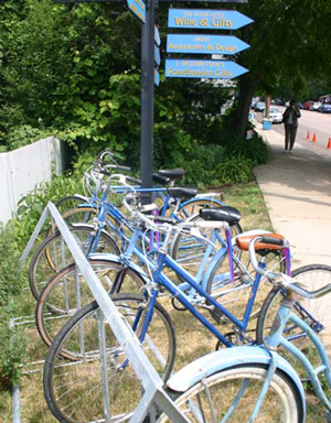Stockholm Blue Bike Program